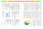 2016年 高島平 ふじさき歯科デンタルニュース No.24 6ページ